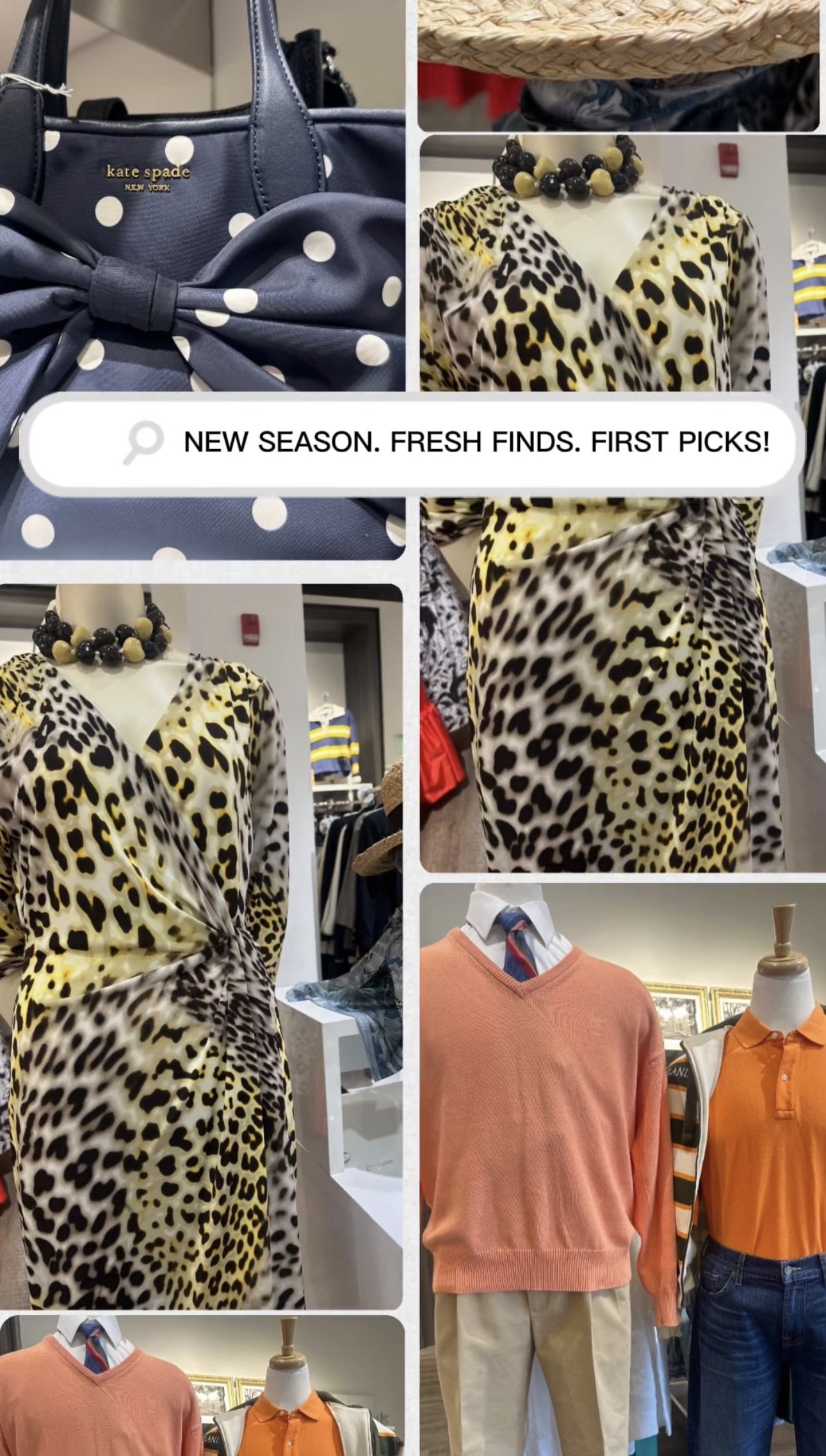 NEW SEASON. FRESH FINDS. FIRST PICKS! ✨ icon